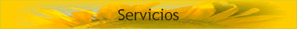 Servicios