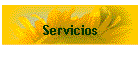 Servicios